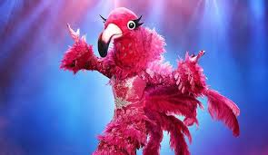 Image result for flamingo masked singer
