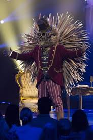 Image result for hedgehog the masked singer