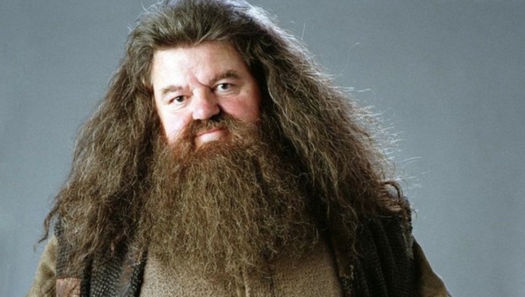 Rubeus Hagrid: Will he be in Fantastic Beasts&nbsp;3?
